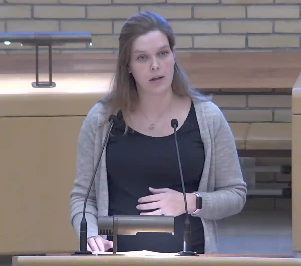 Signe Rosa Skelbæk fra Enhedslisten i Gladsaxe i byrådsalen.